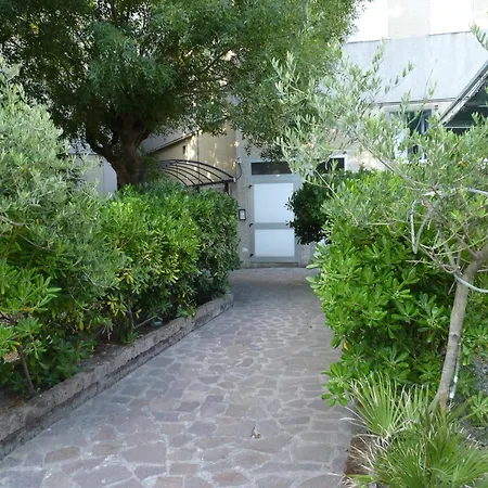 Zeus Only 3* Lido di Classe