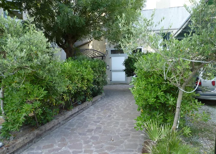 Zeus Only 3* Lido di Classe